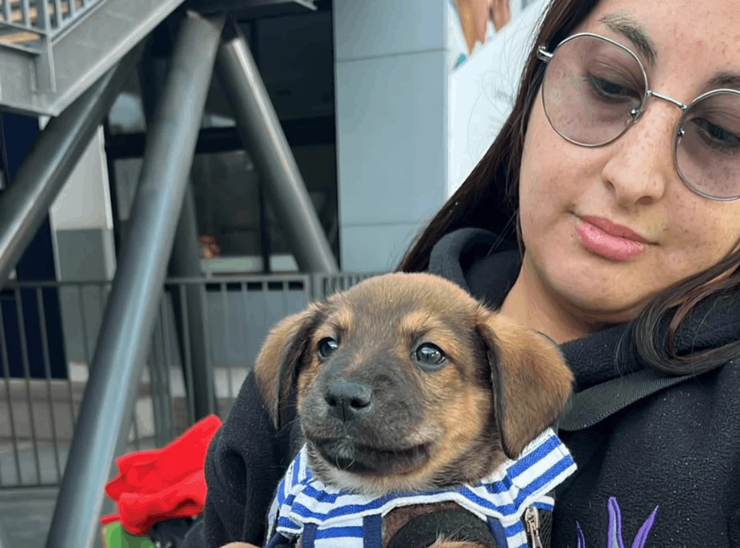 Una jornada de adopción y solidaridad junto a nuestra comunidad