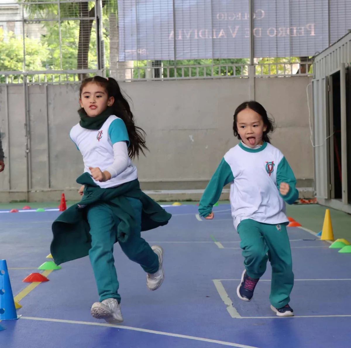 Talleres extraprogramáticos